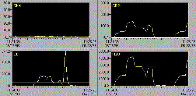 fig1a.gif (24701 bytes)