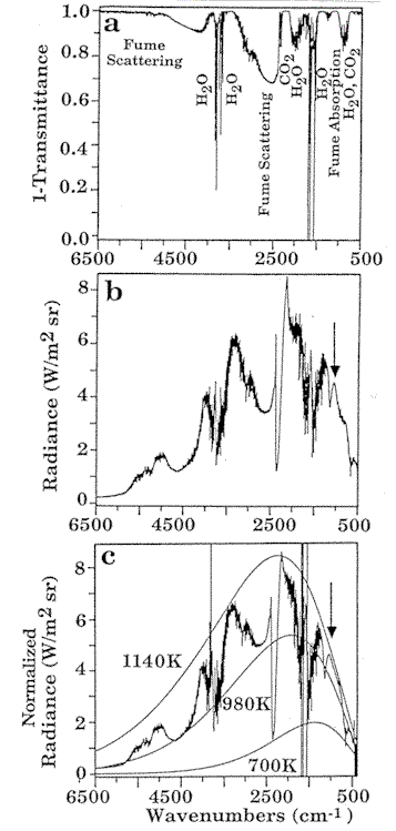 fig2.gif (24756 bytes)